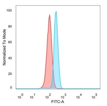 CNOT10 Antibody