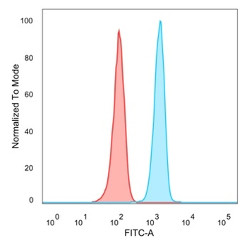 SIRT3 Antibody