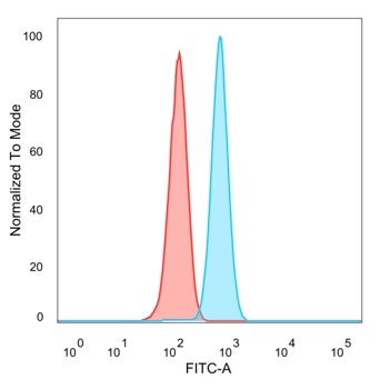 AGO3 Antibody