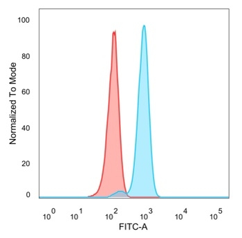IRF3 Antibody