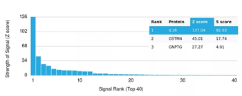 IL-6 (Interleukin-6) / Interferon beta-2 (Hybridoma Growth Factor) Antibody