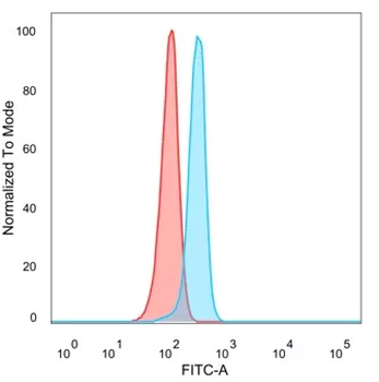 HDGF Antibody
