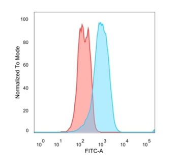 ESR1 Antibody
