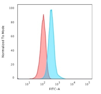 GFAP Antibody