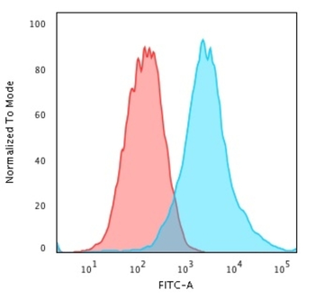 KRT19 Antibody