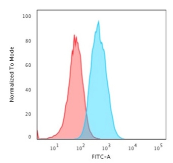 S100A4 Antibody