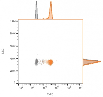 CD9 Antibody