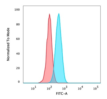 TP63 Antibody (Biotin)
