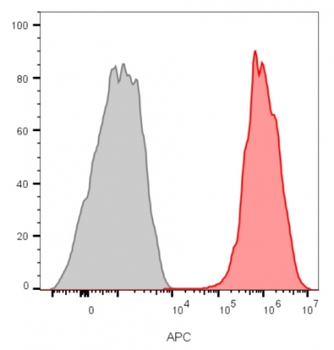 CD81 Antibody