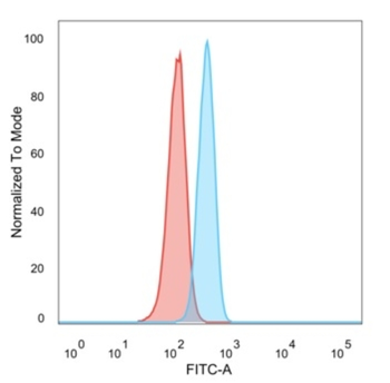TRIM27 Antibody