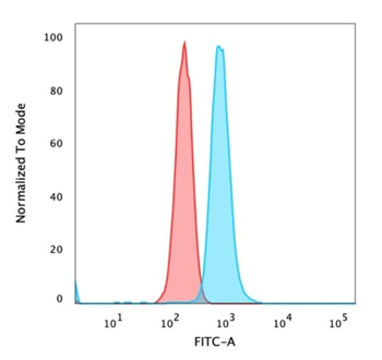 RELA Antibody
