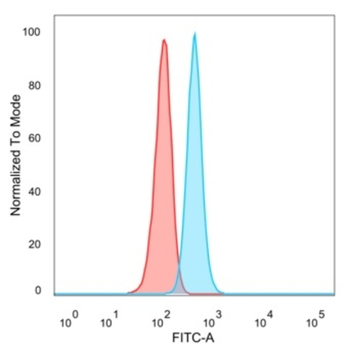 GTF2H2C, GTF2H2C_2 Antibody