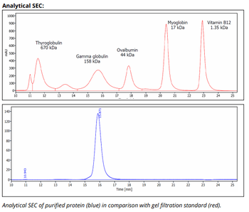 HLA DP/DQ/DR mAb (IVA12), InVivoPure+