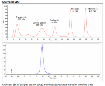 HLA DP/DQ/DR mAb (IVA12), InVivoPure