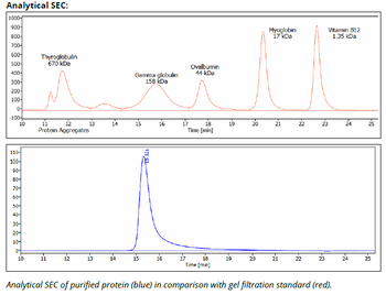 CTLA-4 Antibody