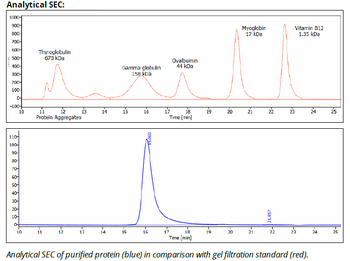 PD-L1 Antibody