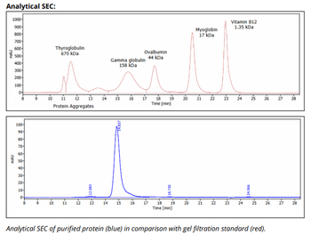 Mouse IgG2b k Isotype Control, Antibody
