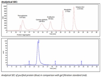 Mouse IgG2b k Isotype Control,  Antibody