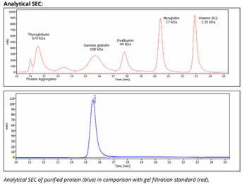 Mouse IgG2A k Isotype Control,  Antibody