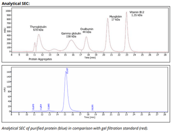 Mouse IgG1ĸ Isotype Control,  Antibody