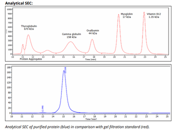 Mouse IgG2b k Isotype Control (MPC-11), Antibody