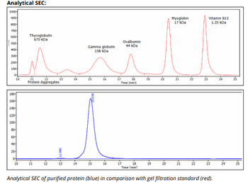 Mouse IgG2b k Isotype Control (MPC-11), Antibody