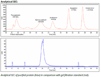 Rat IgG2b Isotype control Antibody