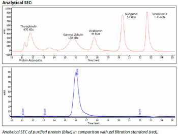 Rat IgG2b Isotype control Antibody