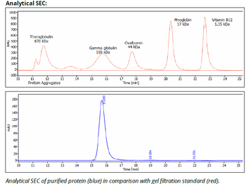 Rat IgG2a Isotype control  Antibody