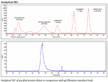 CD71 mAb (R17 217.1.3), InVivoPure+