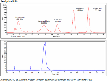 CD71 mAb (B3-25), InvivoPure+