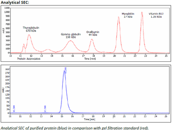 H-2kd/H-2D mAb (34-1-2S), InVivoPure+