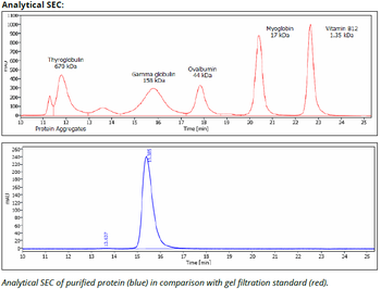 TGF-β mAb (1D11.16.8)