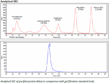 IFNAR-1, MAR1-5A3, CD118 Antibody