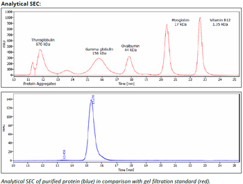CD8β recAb (YTS156.7.7), InvivoPure+