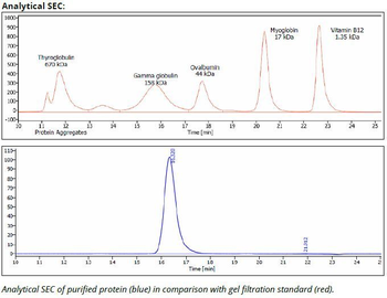 PD-1 mAb (RMP1-14), InVivoPure