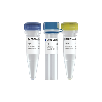 Vazyme - 5 min TA/Blunt-Zero Cloning Kit