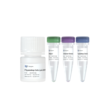 Vazyme - FlysisAmp Cells Lysis Kit