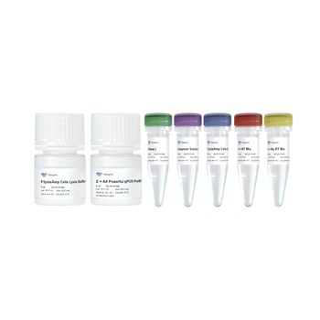 Vazyme - FlysisAmp Cells-to-CT 2-Step Probe Kit