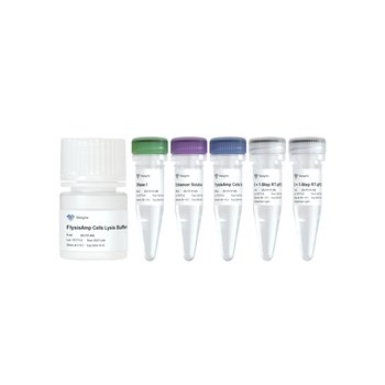 Vazyme - FlysisAmp Cells-to-CT 1-Step Probe Kit