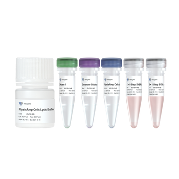 Vazyme - FlysisAmp Cells-to-CT 1-Step SYBR Green Kit