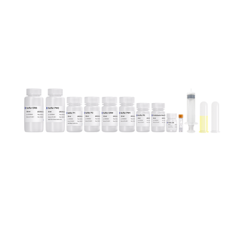 Vazyme - FastPure EndoFree Plasmid Maxi Kit V2
