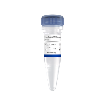 Vazyme - T7 High-Capping RNA Polymerase (200 U/μl)