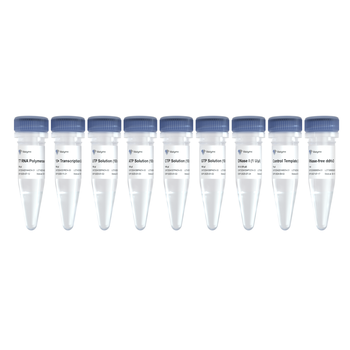 Vazyme - T7 High Yield RNA Transcription Kit