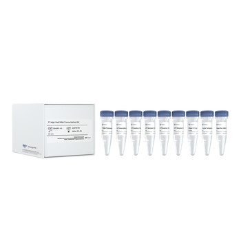 Vazyme - T7 High Yield RNA Transcription Kit