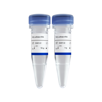 Vazyme - Firefly Luciferase mRNA