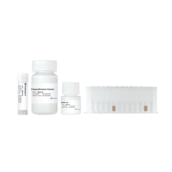 Vazyme - VAMNE MagUltra FFPE DNA Extraction Kit (Prepackaged)