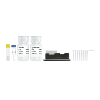 Vazyme - VAMNE Magnetic Stool/Soil DNA Extraction Kit