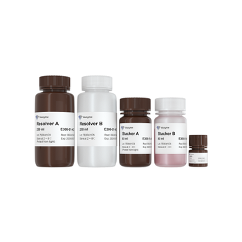 Vazyme - One-Step PAGE Gradient Gel Fast Preparation Kit