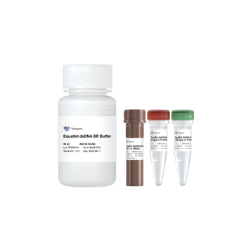 Vazyme - Equalbit dsDNA BR Assay Kit